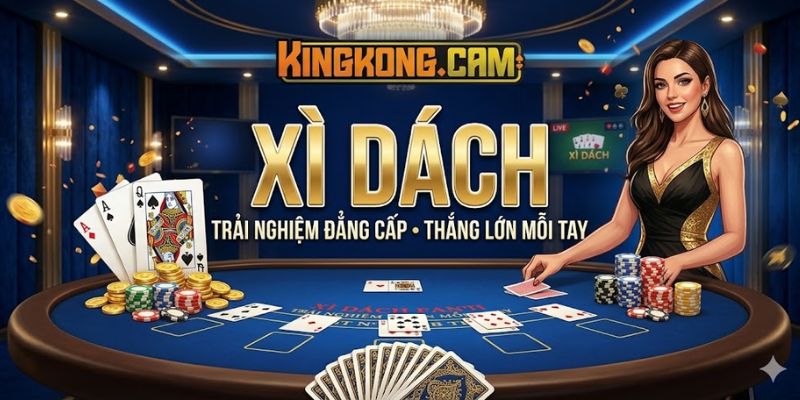 Xì Dách KINGKONG: Mẹo Rút Bài Chuẩn Từ Cao Thủ Live Casino
